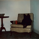Illustration for article titled This is For Anyone Whos Ever Tried Photographing a Black Dog Before